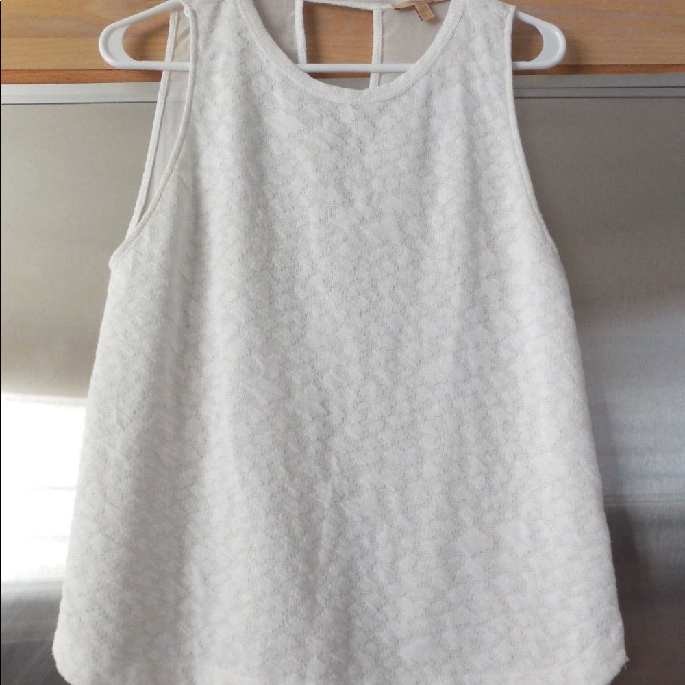 Zara Trafaulic White Top with Sheer Back